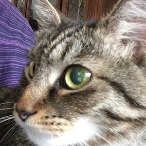 Meet your Posher, Vicky